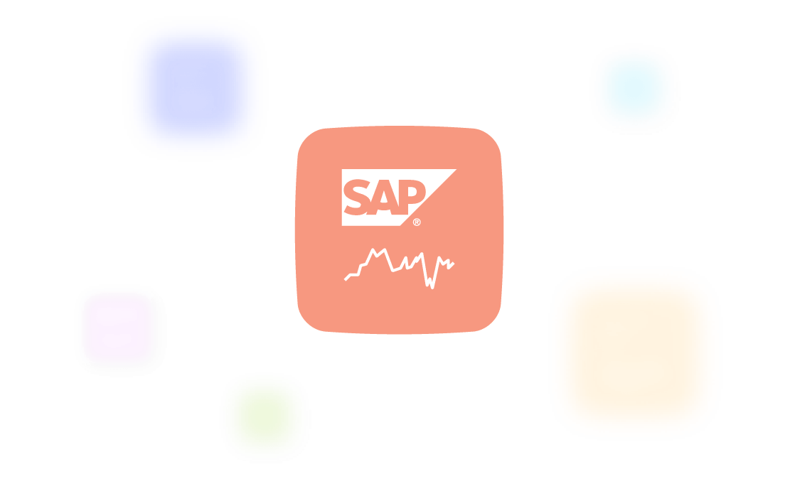 Asset SSP SAP
