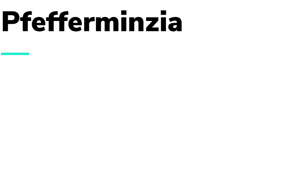 Pfefferminzia